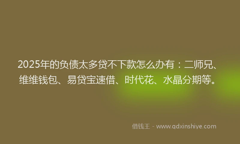 2025年的负债太多贷不下款怎么办有：二师兄、维维钱包、易贷宝速借、时代花、水晶分期等。