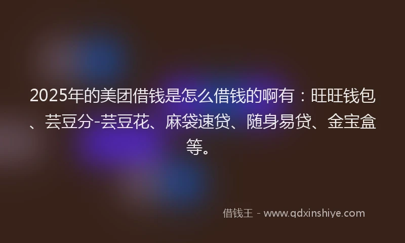 2025年的美团借钱是怎么借钱的啊有：旺旺钱包、芸豆分-芸豆花、麻袋速贷、随身易贷、金宝盒等。