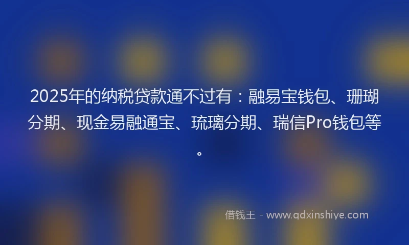 2025年的纳税贷款通不过有：融易宝钱包、珊瑚分期、现金易融通宝、琉璃分期、瑞信Pro钱包等。