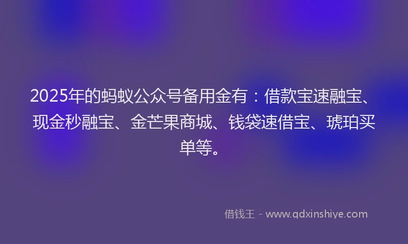 2025年的蚂蚁公众号备用金有：借款宝速融宝、现金秒融宝、金芒果商城、钱袋速借宝、琥珀买单等。