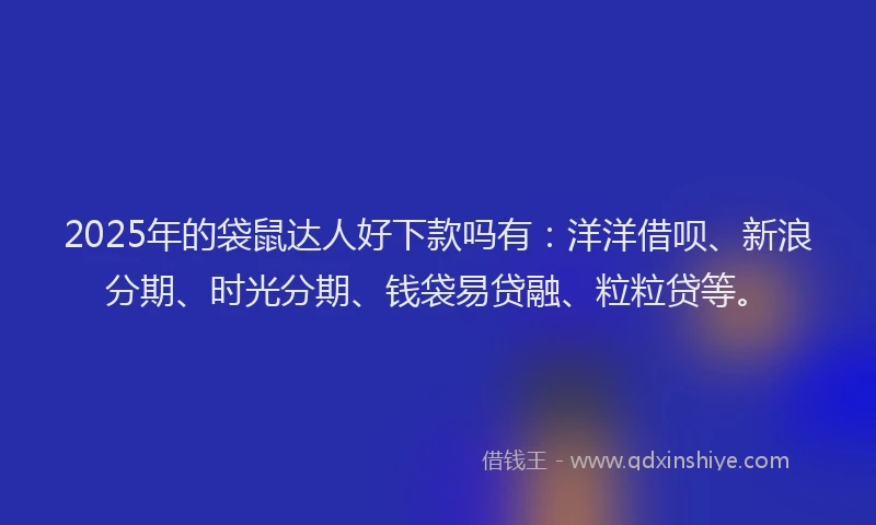 2025年的袋鼠达人好下款吗有：洋洋借呗、新浪分期、时光分期、钱袋易贷融、粒粒贷等。