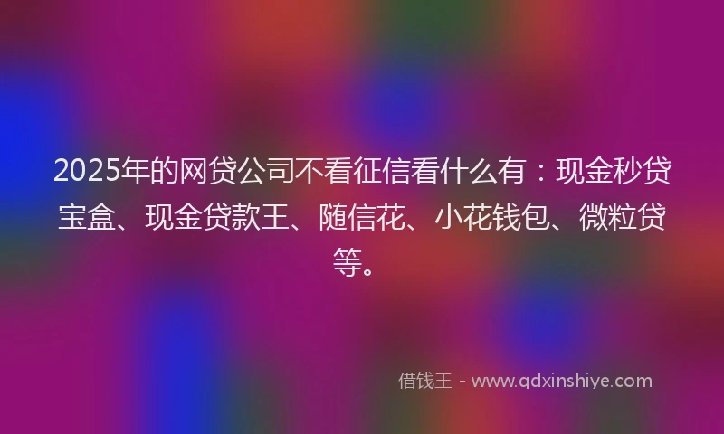 2025年的网贷公司不看征信看什么有：现金秒贷宝盒、现金贷款王、随信花、小花钱包、微粒贷等。