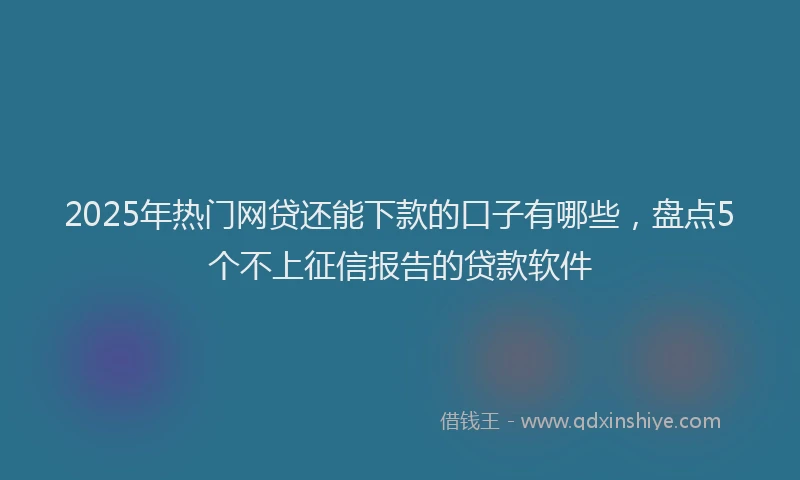2025年热门网贷还能下款的口子有哪些，盘点5个不上征信报告的贷款软件