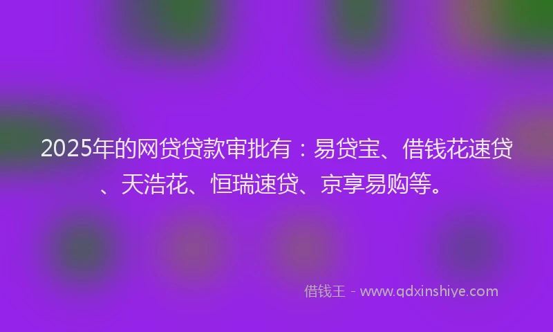 2025年的网贷贷款审批有：易贷宝、借钱花速贷、天浩花、恒瑞速贷、京享易购等。