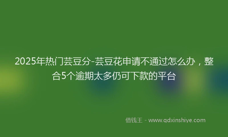2025年热门芸豆分-芸豆花申请不通过怎么办，整合5个逾期太多仍可下款的平台