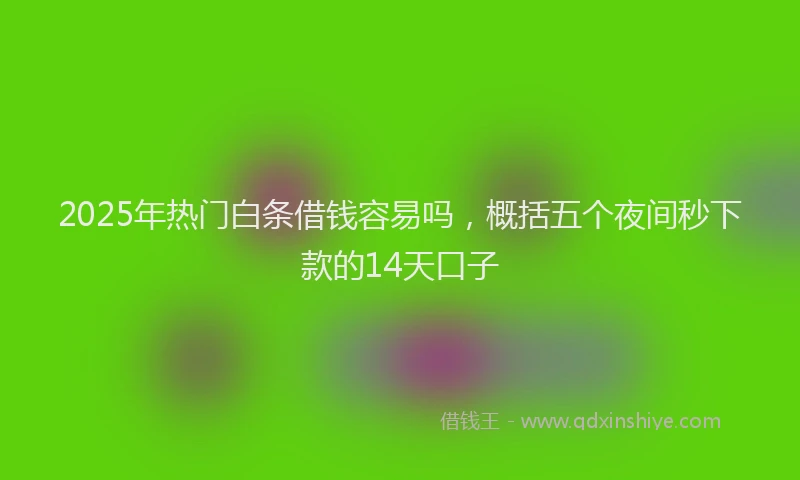 2025年热门白条借钱容易吗，概括五个夜间秒下款的14天口子