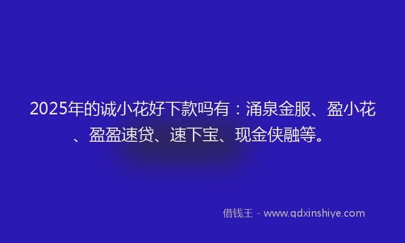 2025年的诚小花好下款吗有：涌泉金服、盈小花、盈盈速贷、速下宝、现金侠融等。