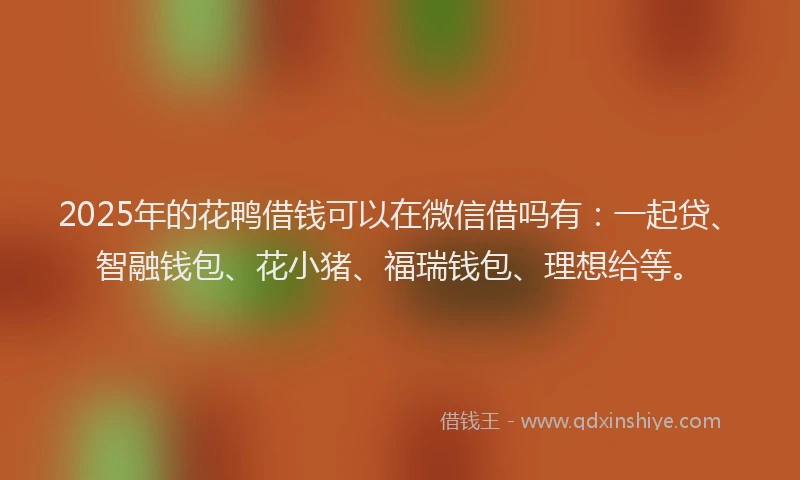 2025年的花鸭借钱可以在微信借吗有：一起贷、智融钱包、花小猪、福瑞钱包、理想给等。