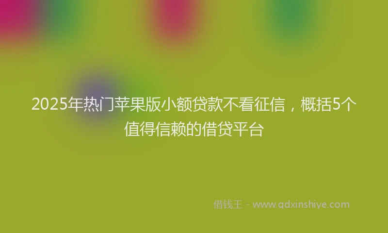 2025年热门苹果版小额贷款不看征信，概括5个值得信赖的借贷平台