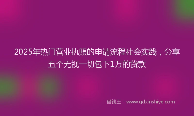 2025年热门营业执照的申请流程社会实践，分享五个无视一切包下1万的贷款