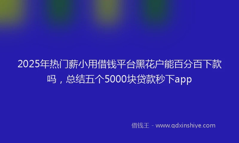 2025年热门薪小用借钱平台黑花户能百分百下款吗，总结五个5000块贷款秒下app