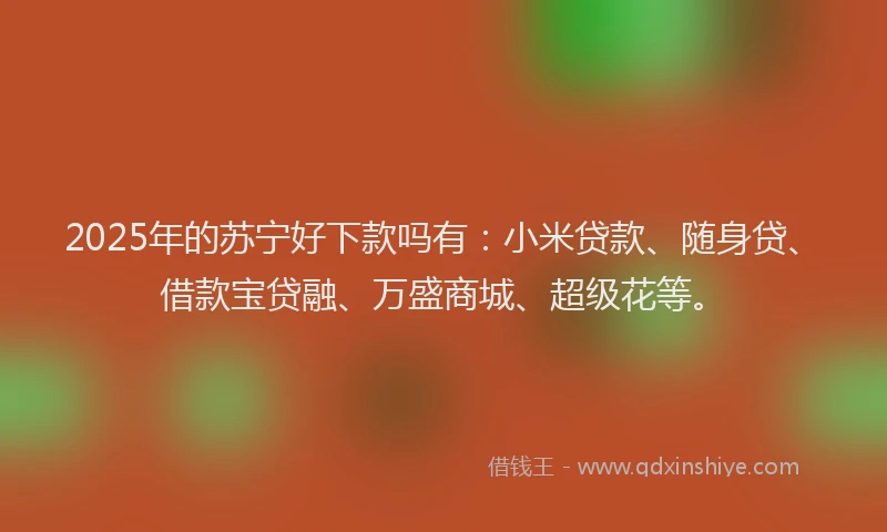 2025年的苏宁好下款吗有：小米贷款、随身贷、借款宝贷融、万盛商城、超级花等。