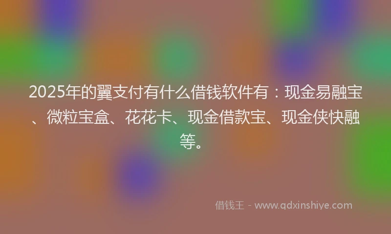 2025年的翼支付有什么借钱软件有：现金易融宝、微粒宝盒、花花卡、现金借款宝、现金侠快融等。
