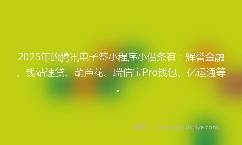 2025年的腾讯电子签小程序小借条有：辉誉金融、钱站速贷、葫芦花、瑞信宝Pro钱包、亿运通等。