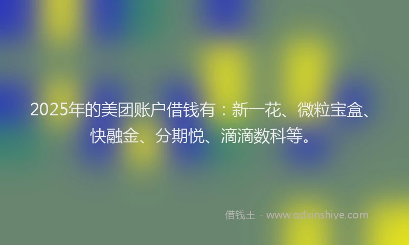 2025年的美团账户借钱有：新一花、微粒宝盒、快融金、分期悦、滴滴数科等。