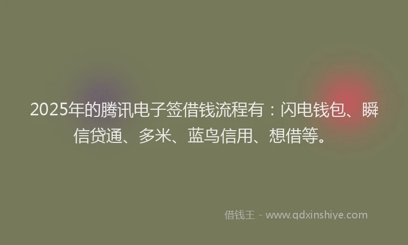 2025年的腾讯电子签借钱流程有：闪电钱包、瞬信贷通、多米、蓝鸟信用、想借等。
