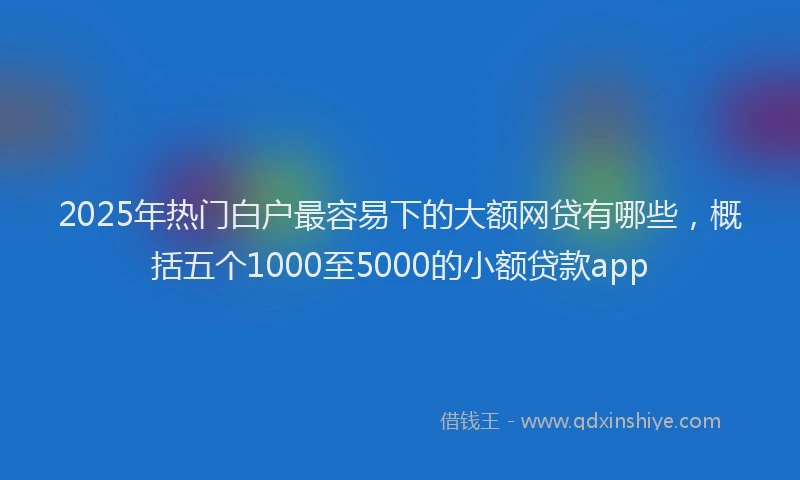 2025年热门白户最容易下的大额网贷有哪些，概括五个1000至5000的小额贷款app