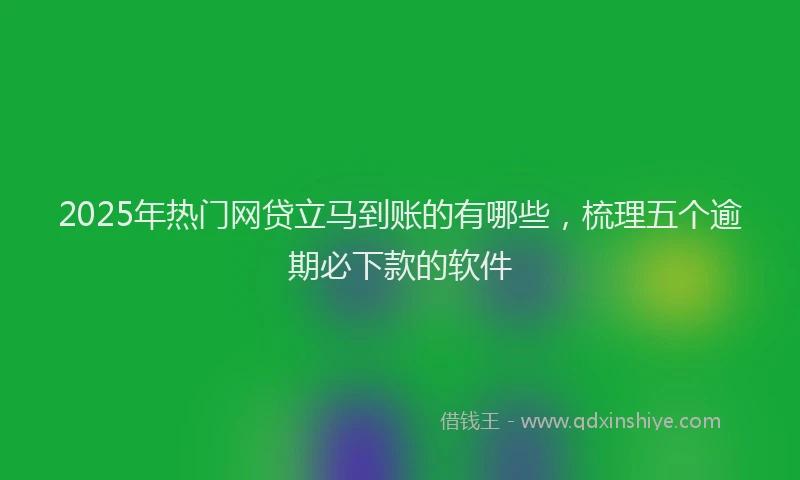 2025年热门网贷立马到账的有哪些，梳理五个逾期必下款的软件