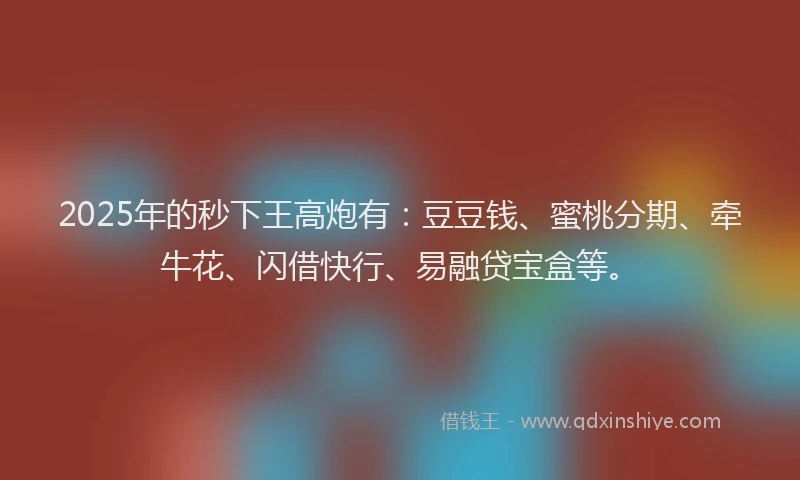 2025年的秒下王高炮有：豆豆钱、蜜桃分期、牵牛花、闪借快行、易融贷宝盒等。