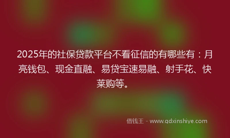2025年的社保贷款平台不看征信的有哪些有：月亮钱包、现金直融、易贷宝速易融、射手花、快莱购等。