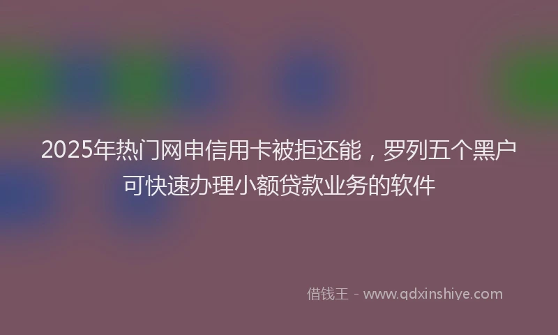 2025年热门网申信用卡被拒还能，罗列五个黑户可快速办理小额贷款业务的软件