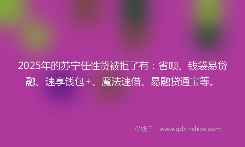 2025年的苏宁任性贷被拒了有：省呗、钱袋易贷融、速享钱包+、魔法速借、易融贷通宝等。