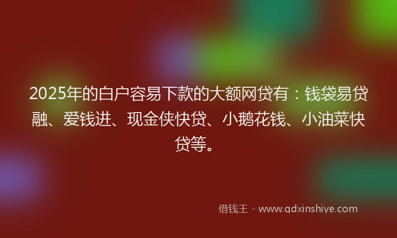 2025年的白户容易下款的大额网贷有：钱袋易贷融、爱钱进、现金侠快贷、小鹅花钱、小油菜快贷等。