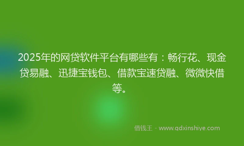 2025年的网贷软件平台有哪些有：畅行花、现金贷易融、迅捷宝钱包、借款宝速贷融、微微快借等。