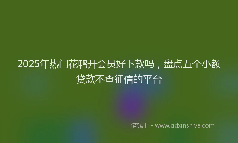 2025年热门花鸭开会员好下款吗，盘点五个小额贷款不查征信的平台