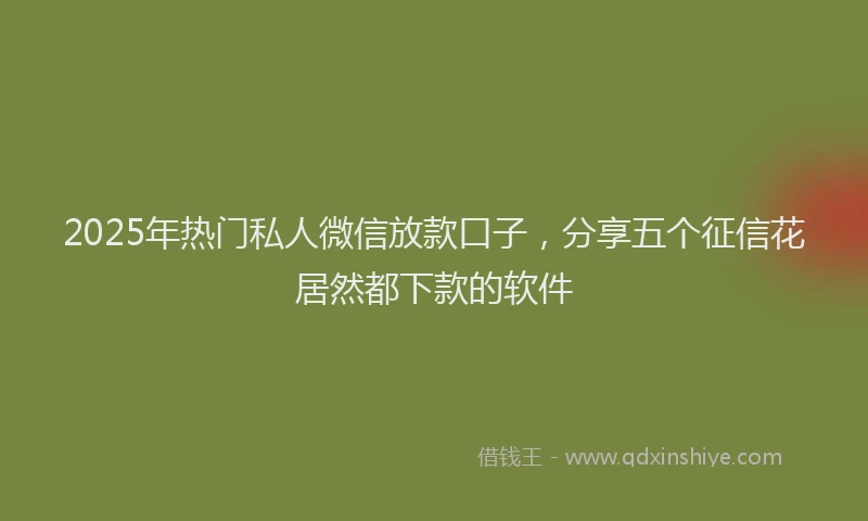 2025年热门私人微信放款口子，分享五个征信花居然都下款的软件