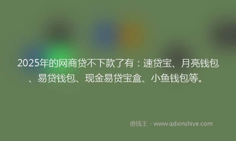 2025年的网商贷不下款了有：速贷宝、月亮钱包、易贷钱包、现金易贷宝盒、小鱼钱包等。