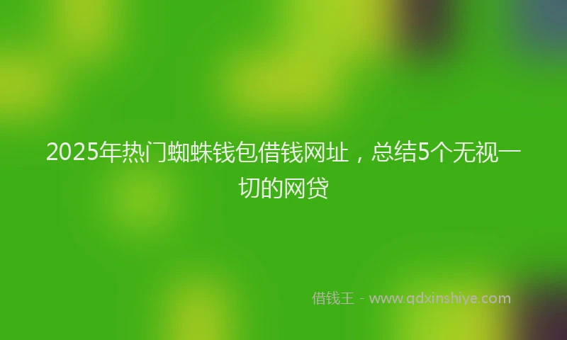 2025年热门蜘蛛钱包借钱网址，总结5个无视一切的网贷