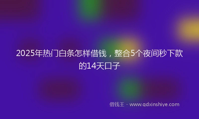 2025年热门白条怎样借钱，整合5个夜间秒下款的14天口子