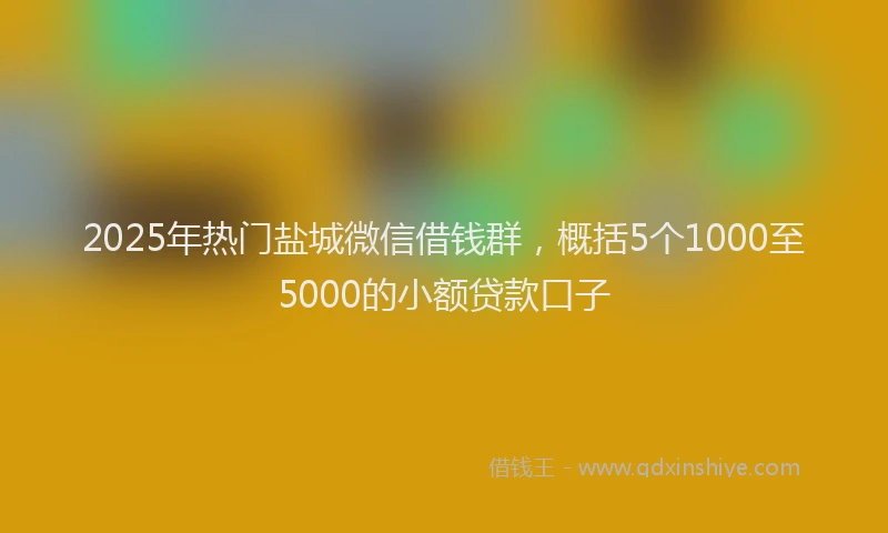 2025年热门盐城微信借钱群，概括5个1000至5000的小额贷款口子