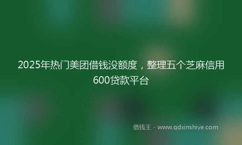 2025年热门美团借钱没额度，整理五个芝麻信用600贷款平台