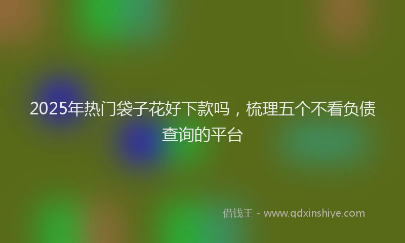 2025年热门袋子花好下款吗，梳理五个不看负债查询的平台