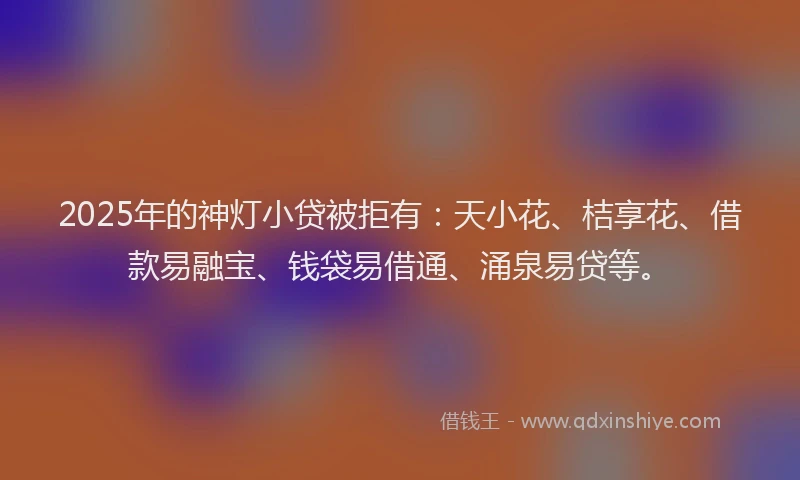 2025年的神灯小贷被拒有：天小花、桔享花、借款易融宝、钱袋易借通、涌泉易贷等。