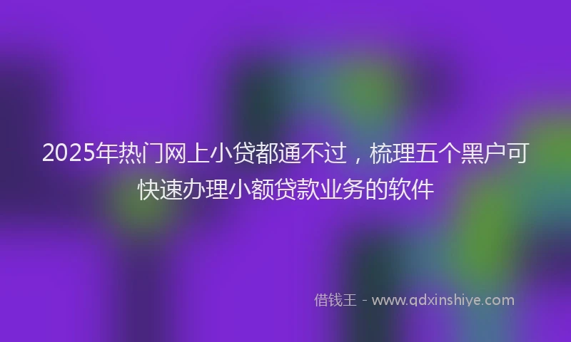 2025年热门网上小贷都通不过，梳理五个黑户可快速办理小额贷款业务的软件