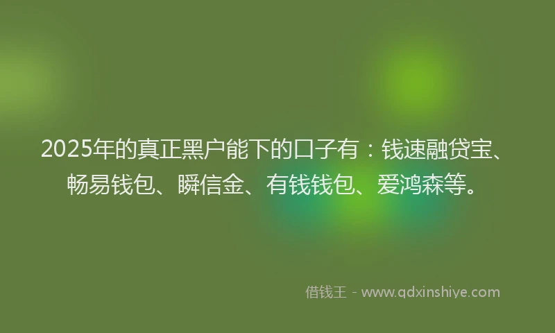 2025年的真正黑户能下的口子有：钱速融贷宝、畅易钱包、瞬信金、有钱钱包、爱鸿森等。