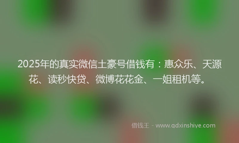 2025年的真实微信土豪号借钱有：惠众乐、天源花、读秒快贷、微博花花金、一姐租机等。