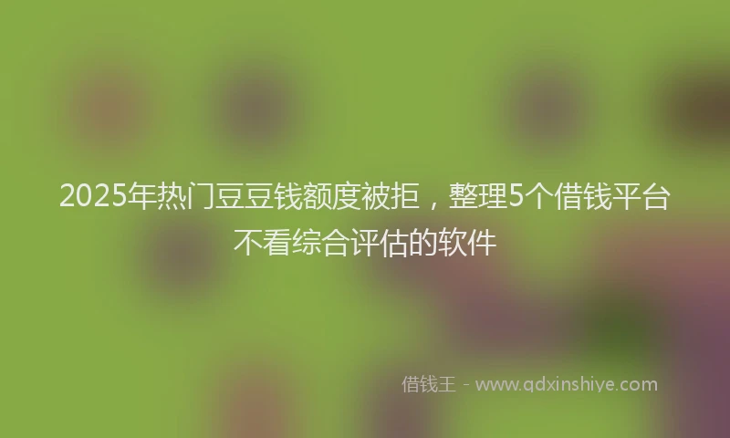 2025年热门豆豆钱额度被拒，整理5个借钱平台不看综合评估的软件