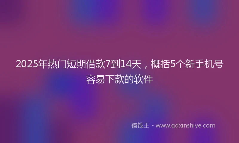 2025年热门短期借款7到14天，概括5个新手机号容易下款的软件
