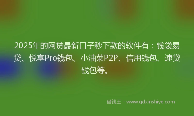 2025年的网贷最新口子秒下款的软件有：钱袋易贷、悦享Pro钱包、小油菜P2P、信用钱包、速贷钱包等。