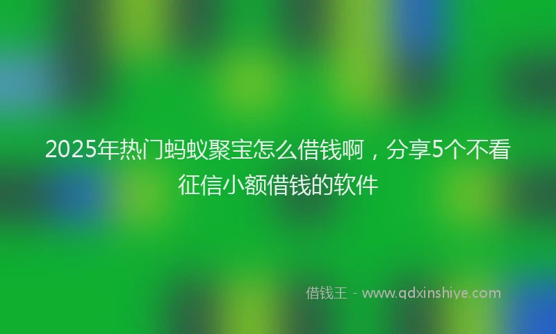 2025年热门蚂蚁聚宝怎么借钱啊，分享5个不看征信小额借钱的软件