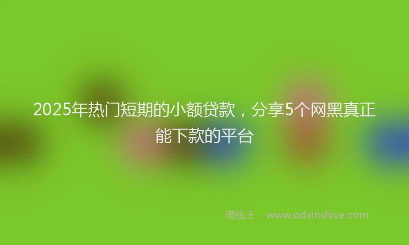 2025年热门短期的小额贷款，分享5个网黑真正能下款的平台