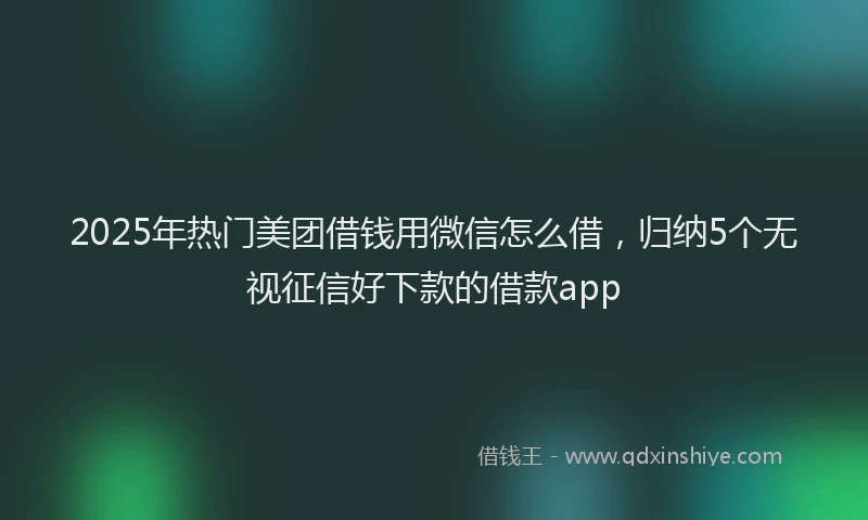 2025年热门美团借钱用微信怎么借，归纳5个无视征信好下款的借款app