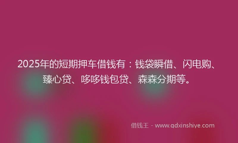 2025年的短期押车借钱有：钱袋瞬借、闪电购、臻心贷、哆哆钱包贷、森森分期等。