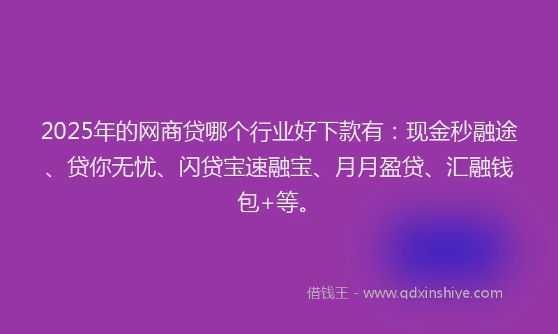 2025年的网商贷哪个行业好下款有：现金秒融途、贷你无忧、闪贷宝速融宝、月月盈贷、汇融钱包+等。
