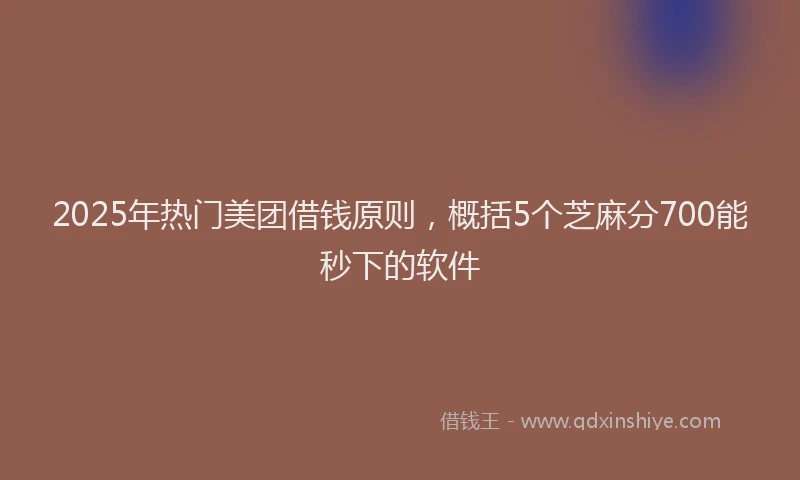 2025年热门美团借钱原则，概括5个芝麻分700能秒下的软件