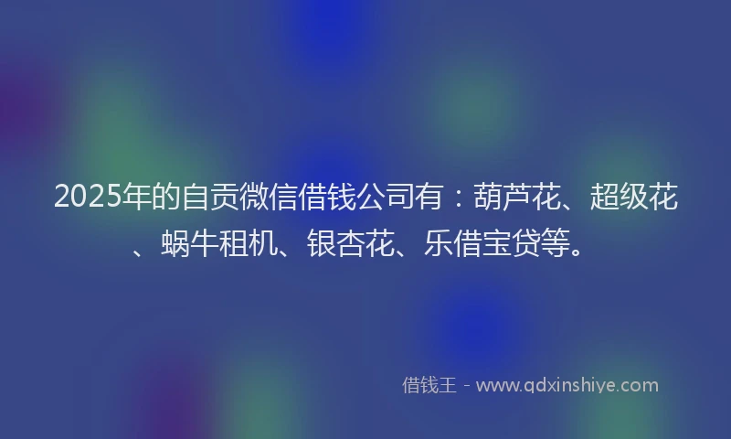 2025年的自贡微信借钱公司有：葫芦花、超级花、蜗牛租机、银杏花、乐借宝贷等。